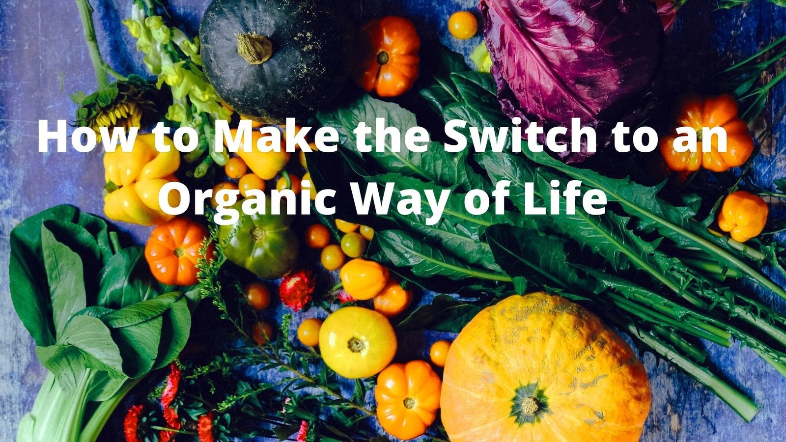 How to Make the Switch to an Organic Way of Life