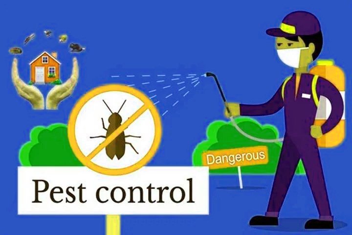 A Guide to Pest Control