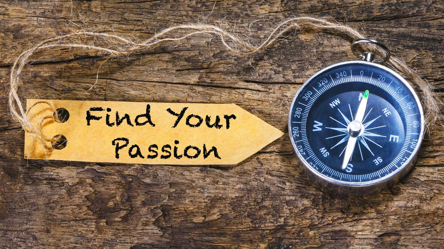 Finding Your Passion Aligning Your Career with Your Interests